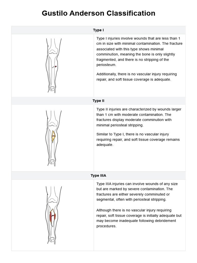 Gustilo-Anderson Fracture Types Explained | PDF | Wound | Injury