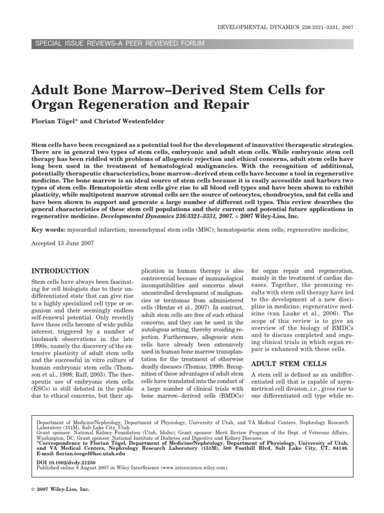 Developmental Dynamics - 2007 - Tögel - Adult Bone Marrow Derived Stem ...