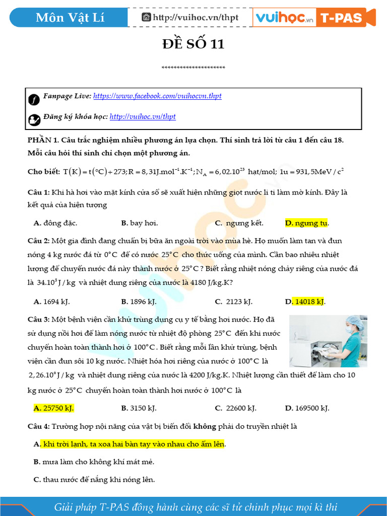 Li12phtde So 11 | PDF
