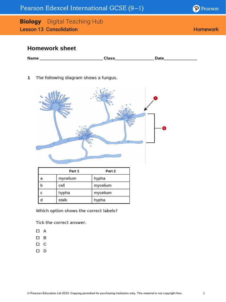Correct Answers for Biology Homework | PDF | Cell (Biology) | Bacteria