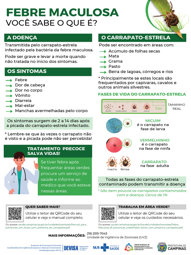 Folder Febre Maculosa - Orientação Sobre A Doença e Dicas de Prevenção ...