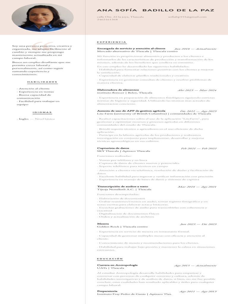 Perfil Profesional de Ana Sofía Badillo | PDF