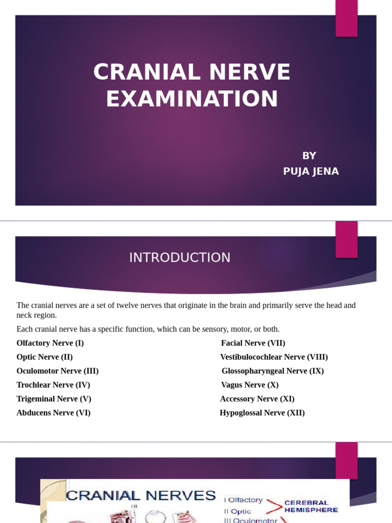 Cranial Nerve Examination Guide | PDF | Nervous System | Human Anatomy