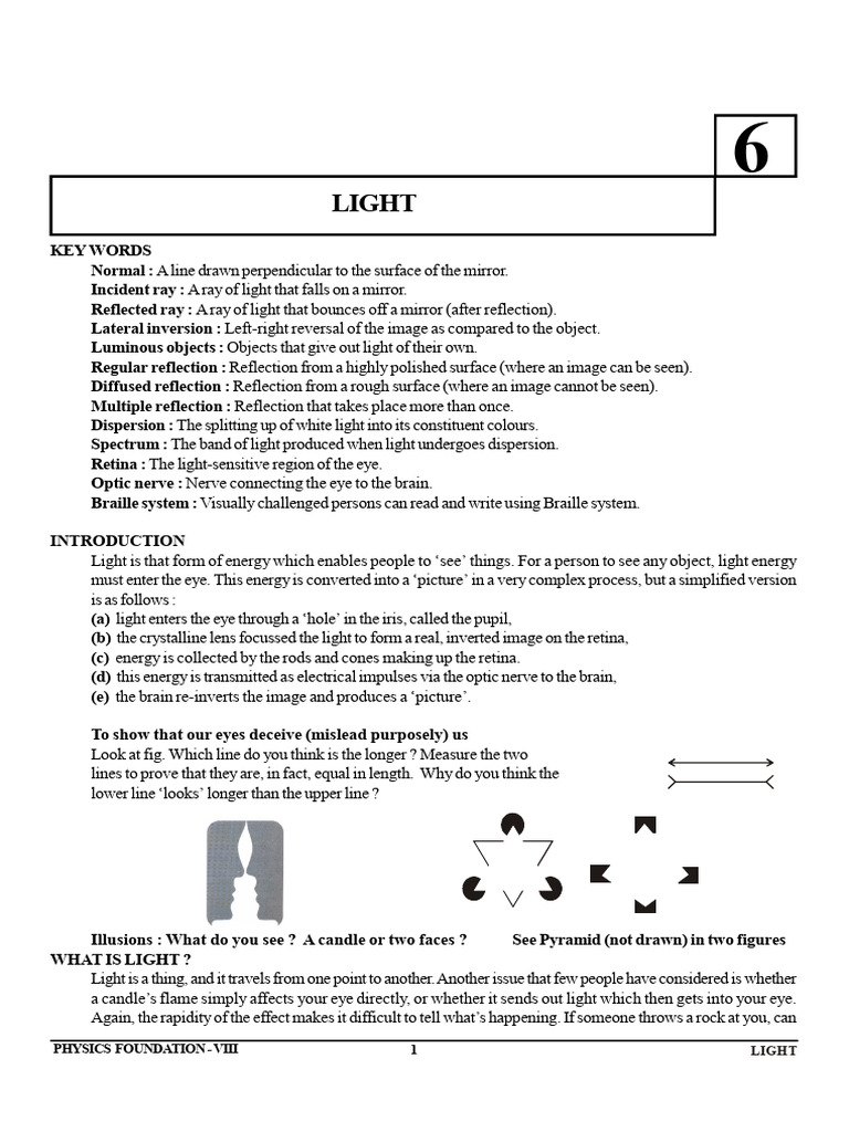 8 Class Phy CH 6 - Light | PDF | Eye | Waves