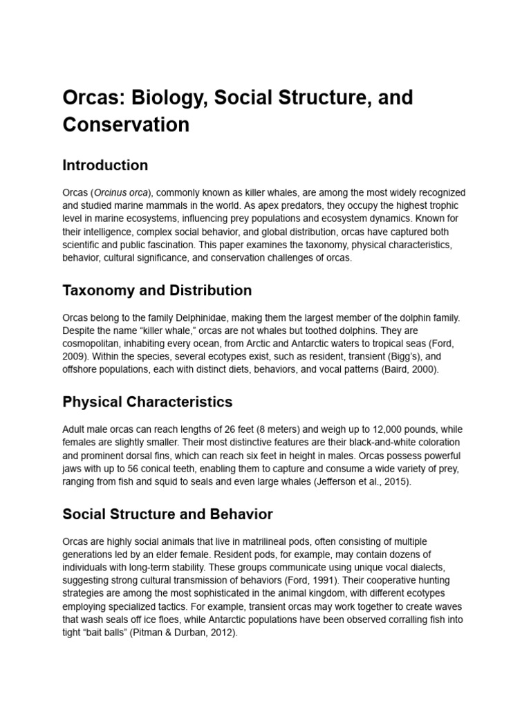 Orca Social Structure and Behavior | PDF | Zoology | Natural Environment