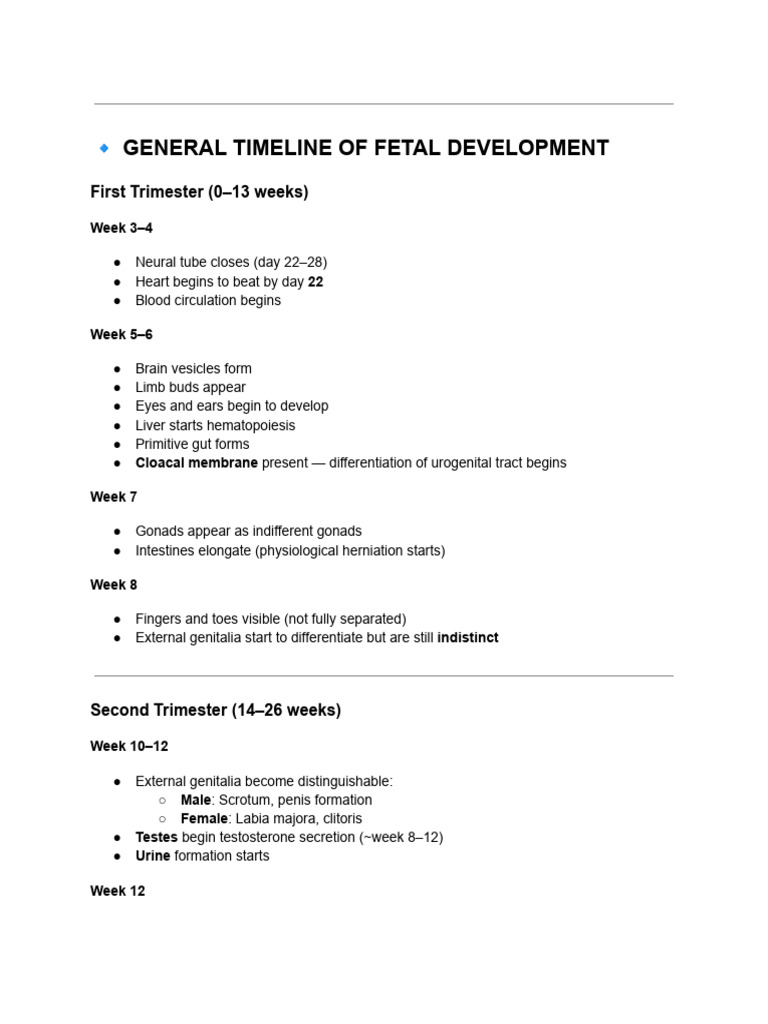 Fetal Development Timeline Overview | PDF | Anatomy | Organ (Anatomy)
