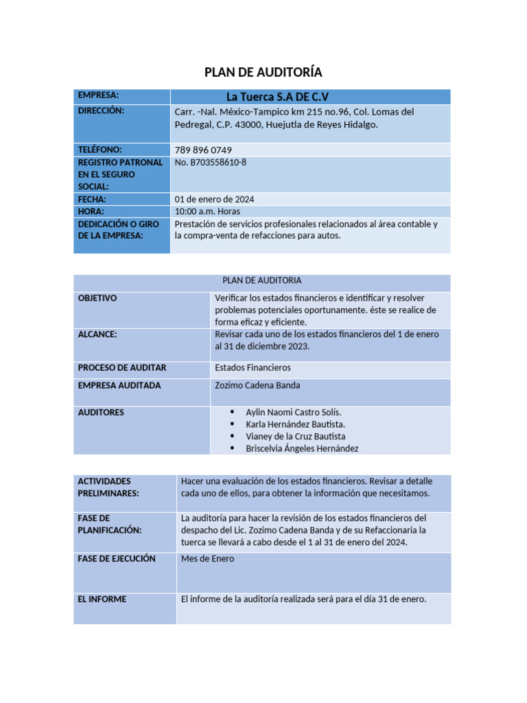 Plan de Auditoria (1) VIANEY-1 | PDF | Auditoría | Business
