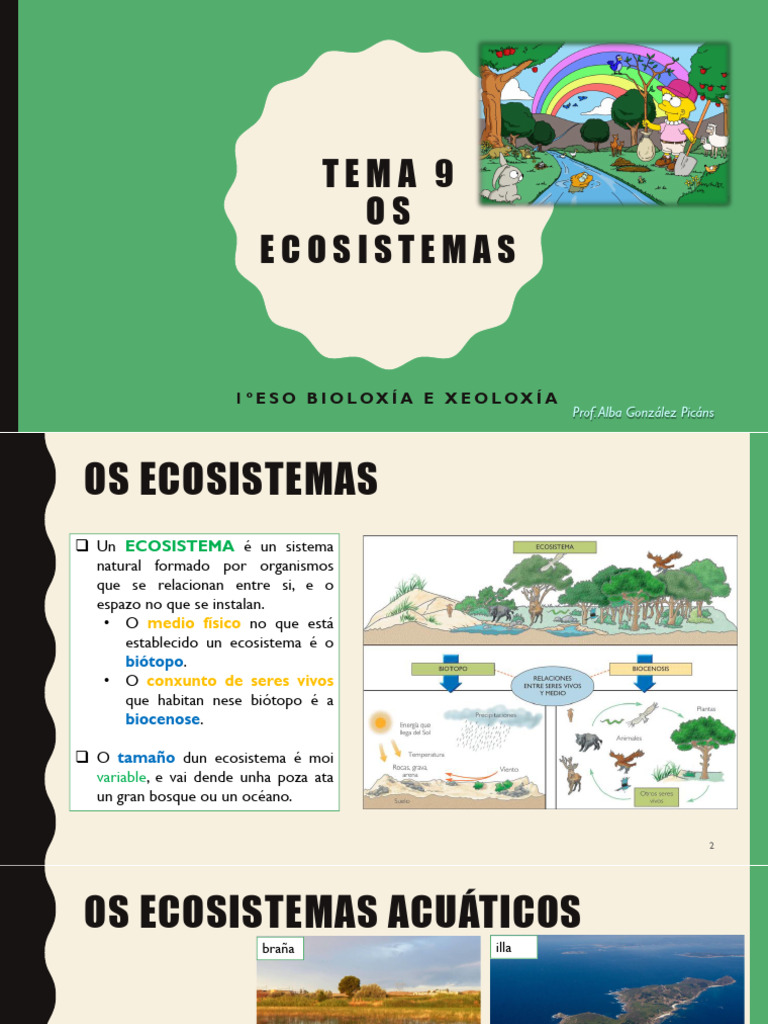 Tema 9 Os Ecosistemas | PDF