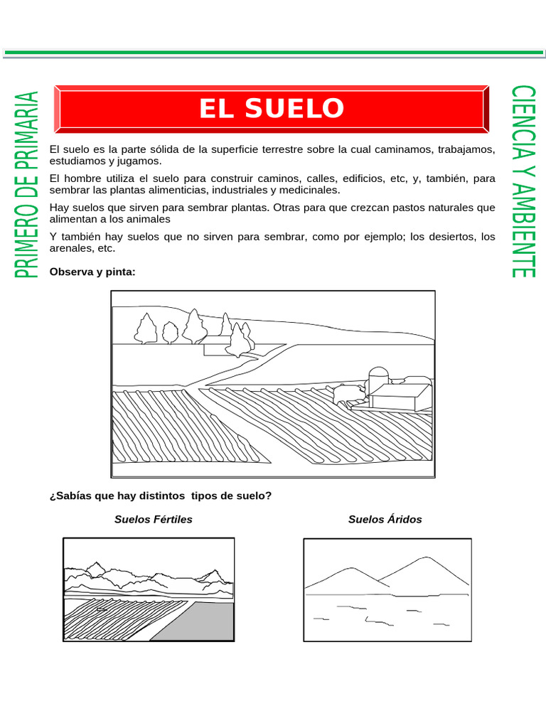 El Suelo para Primero de Primaria | PDF