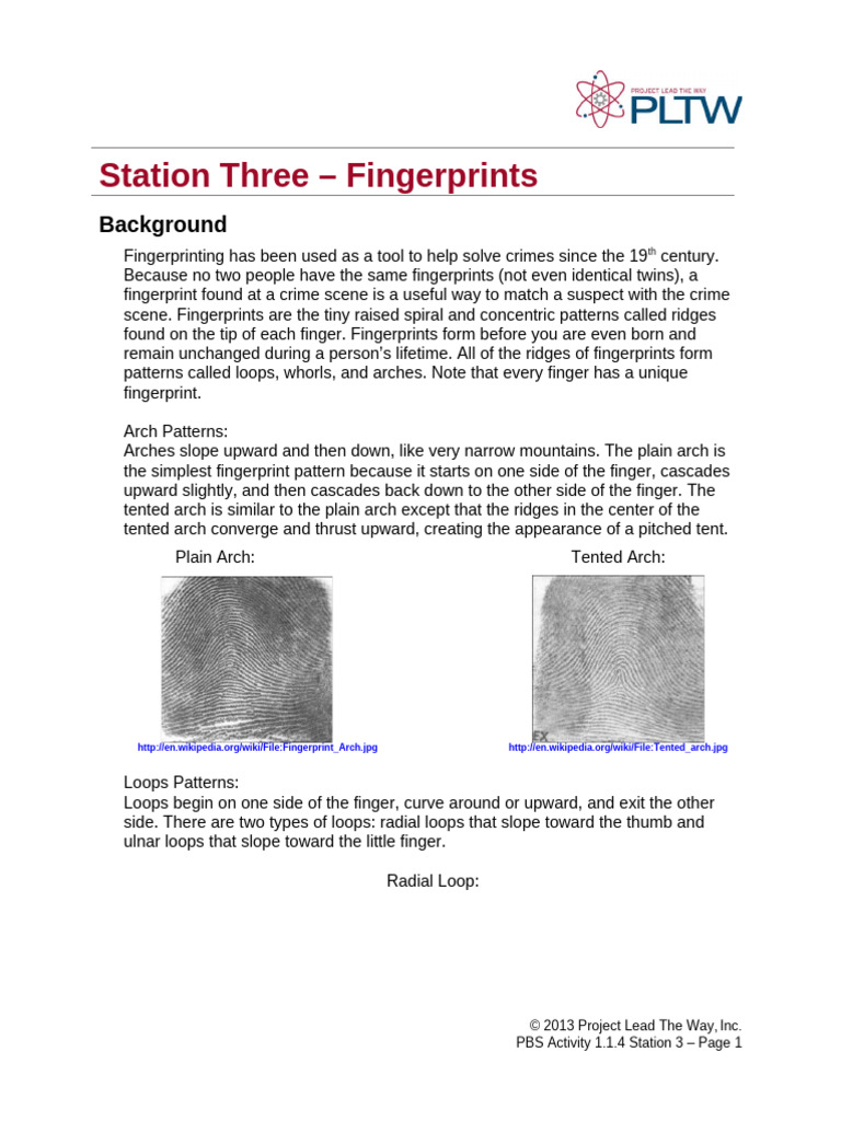 1.1.4.A Station3 Fingerprint | PDF | Fingerprint | Forensic Science