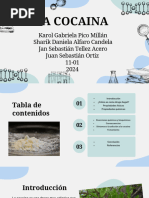 Efectos de la Falopa como droga | PDF