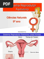 9.Ppt.prof.4.Sreprodutorfeminino
