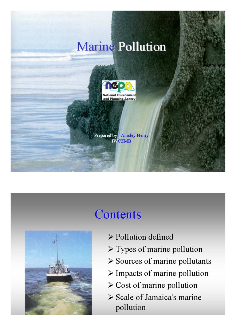 Marine Pollution | PDF | Pollution | Sea