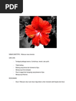 Download BUNGA RAYA by Renuka Kuna Saikaran SN92505101 doc pdf