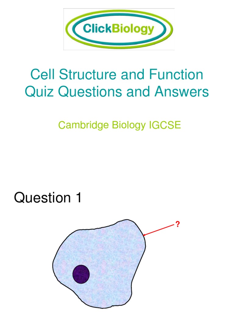 Cell Structure and Function Quiz Questions and Answers | Cytoplasm