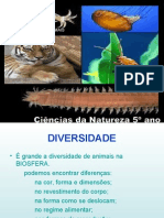 Power Point Diversidade 1193002199271710 5