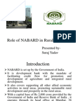 NABARD's Role in Rural Banking Development