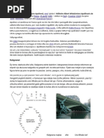 Download Guillaume Apollinaire by Aleksander Mita SN92506491 doc pdf