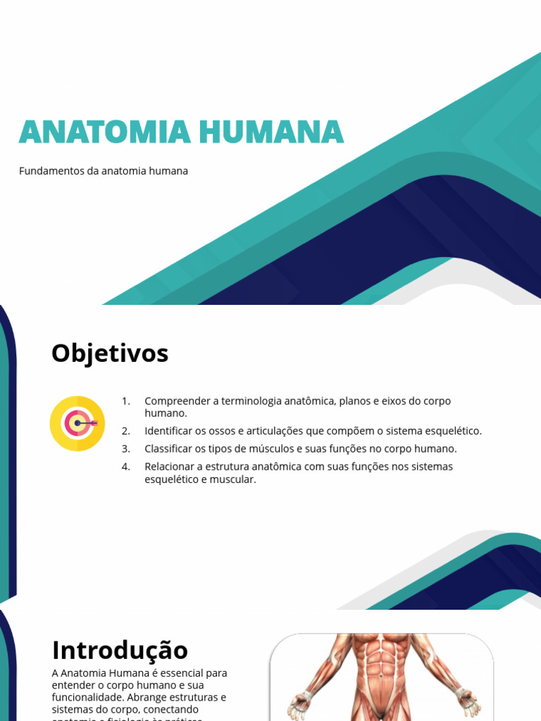 Aula Anatomia Humana | PDF | Músculo | Anatomia