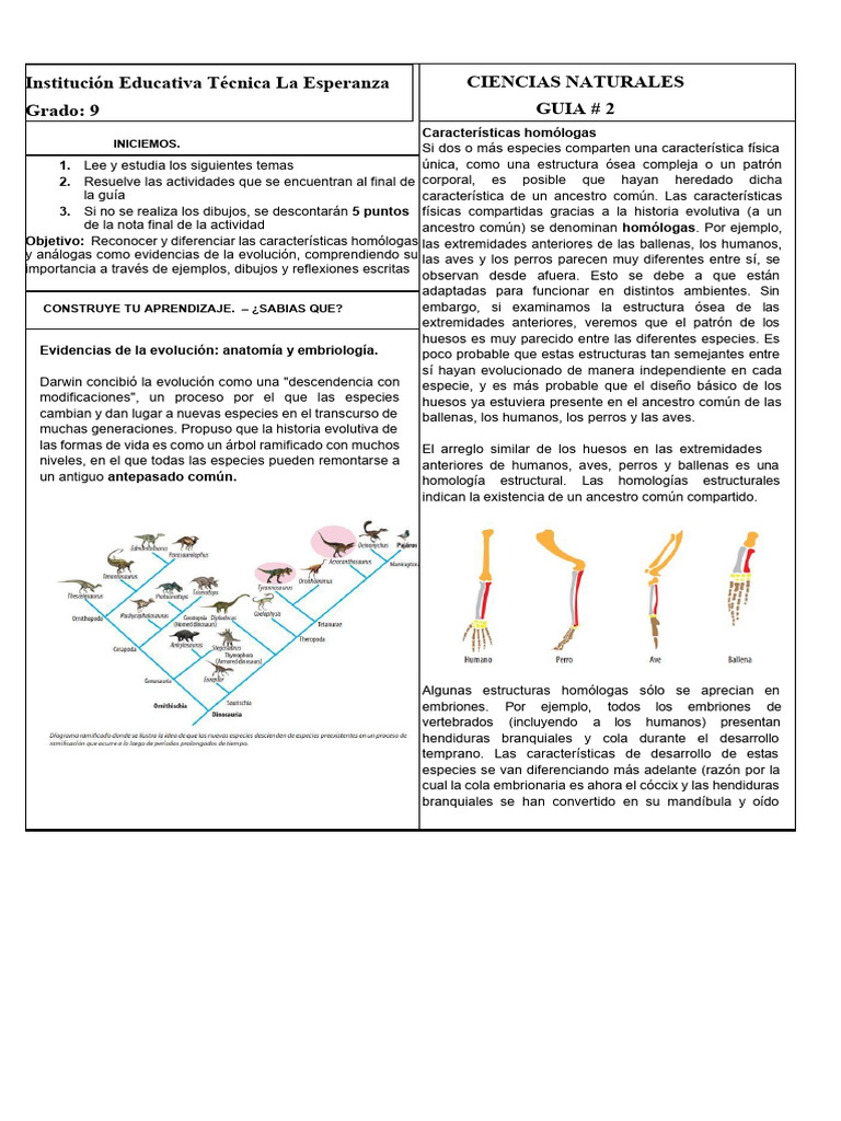 Estructuras Homólogas y Análogas | PDF | Evolución | Homología (biología)