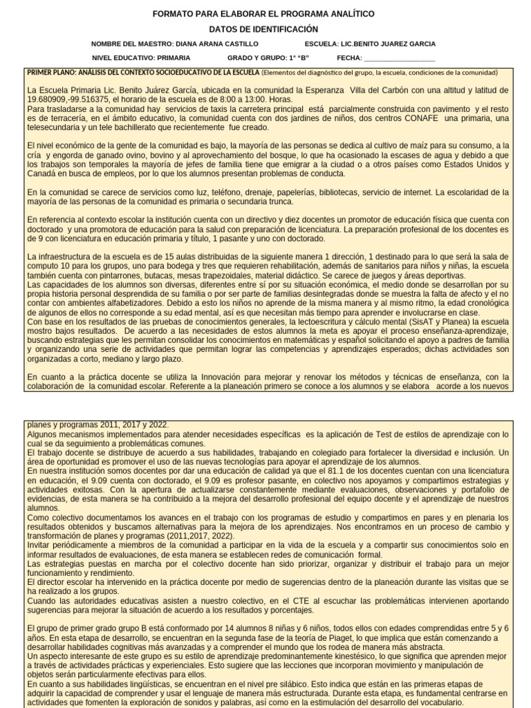Plan Analitico 1B | PDF | Aprendizaje | Enseñando