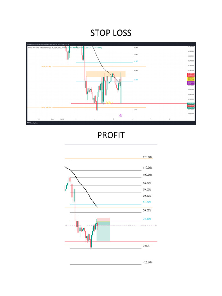 Stop Loss | PDF