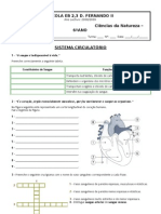 Sistemacirculatorio3