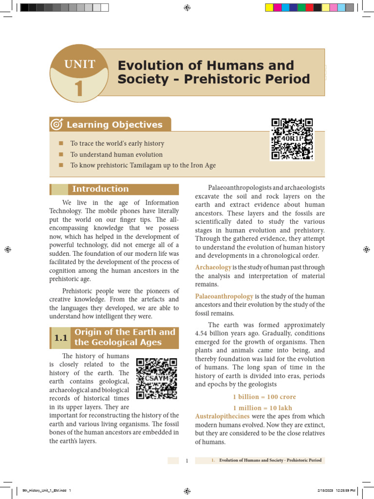 Human Evolution in Prehistoric Times | PDF | Homo | Human Evolution