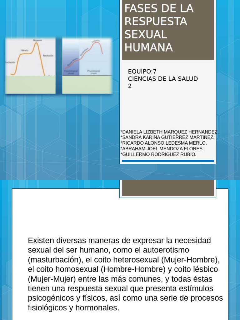 Fases de La Respuesta Sexual Humana | PDF | Vagina | Orgasmo