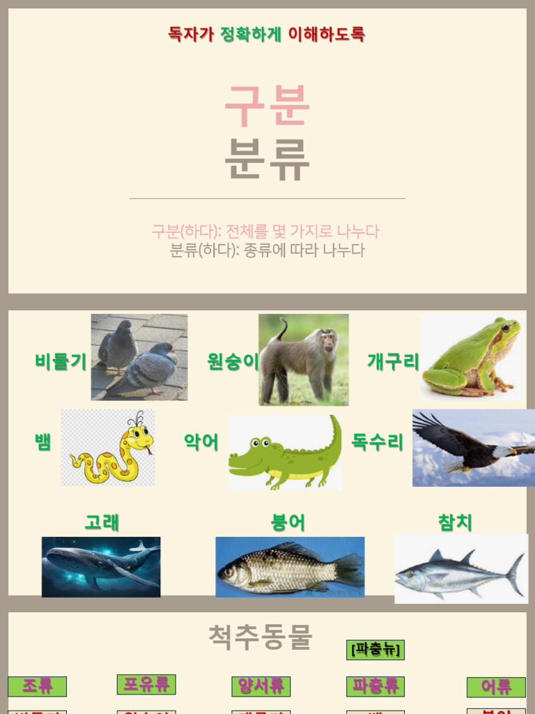 구분과 분류 | PDF