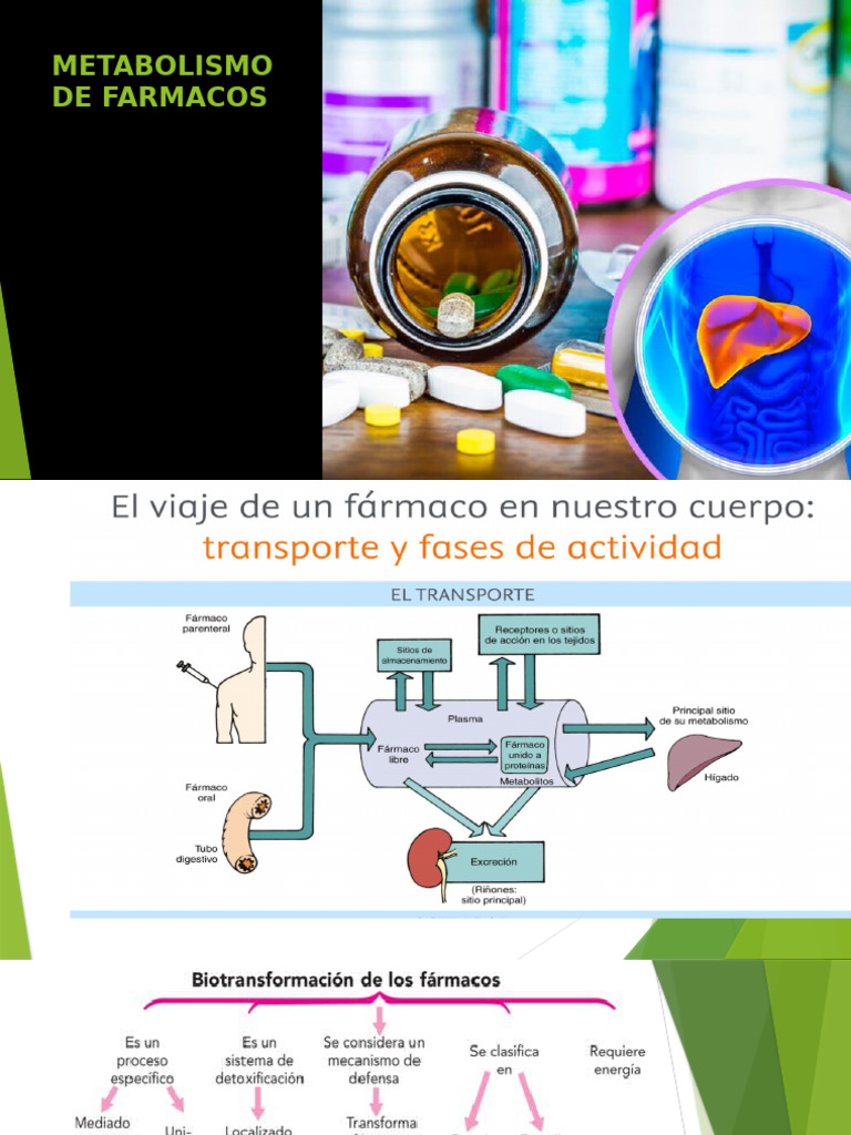 metabolismo-de-farmacos-pdf