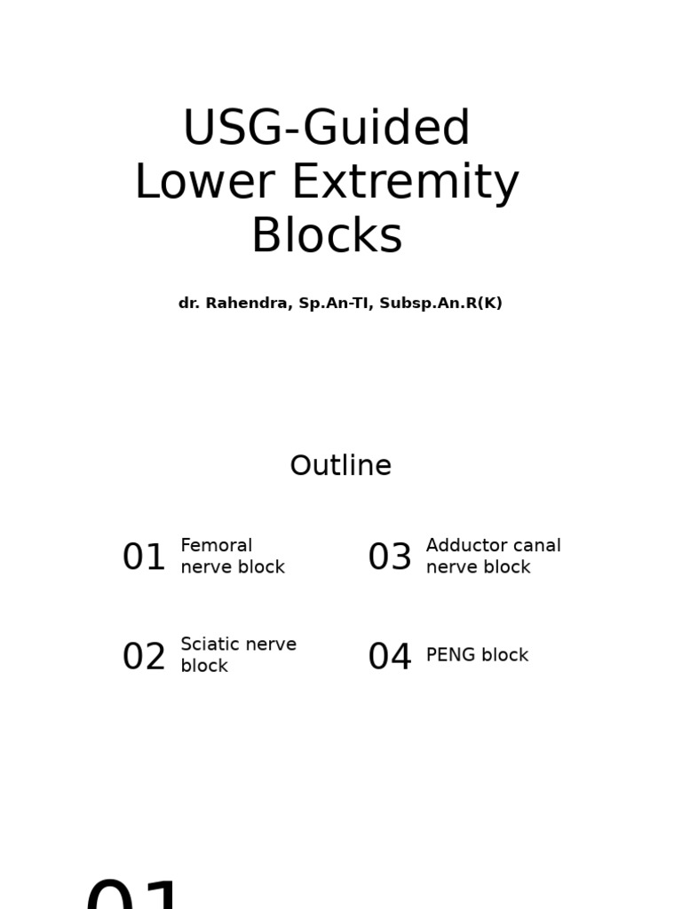 USG Lower Extremity Nerve Blocks Guide | PDF | Human Leg | Human Anatomy