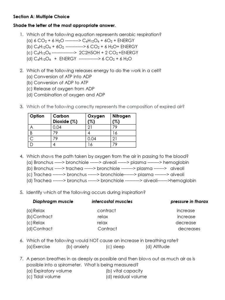 Respiratory System Quiz and CPR Guide | PDF | Breathing | Respiratory ...