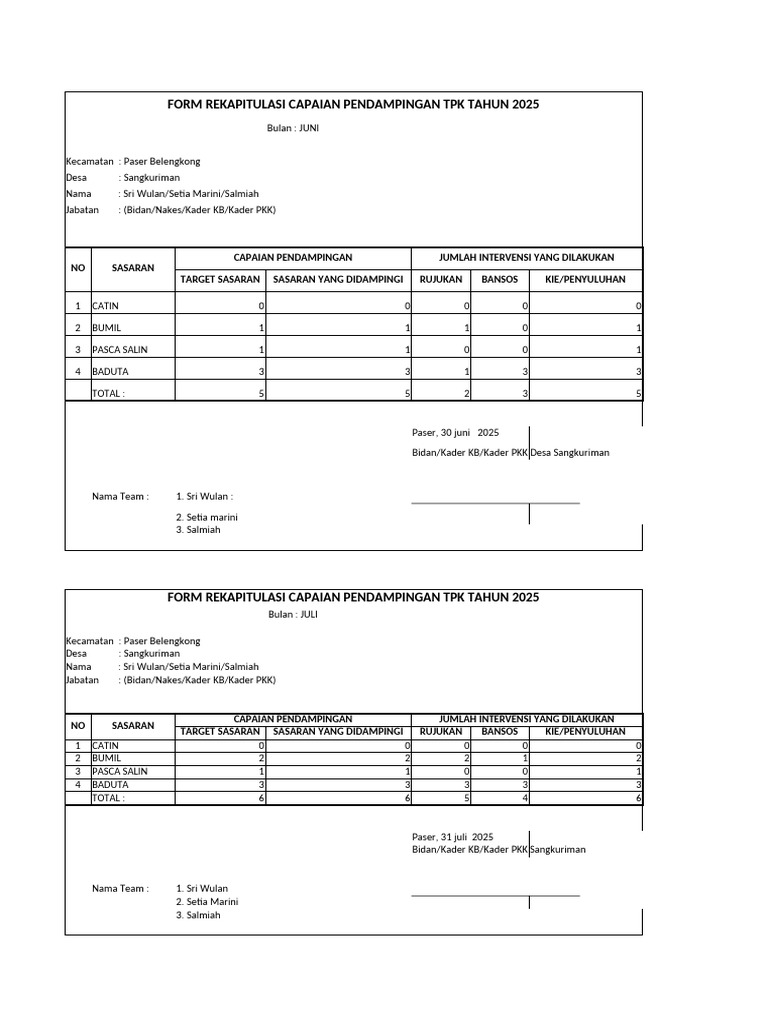 Rekap Capaian Pendampingan TPK 2025 | PDF
