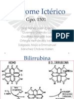 Síndrome Ictérico