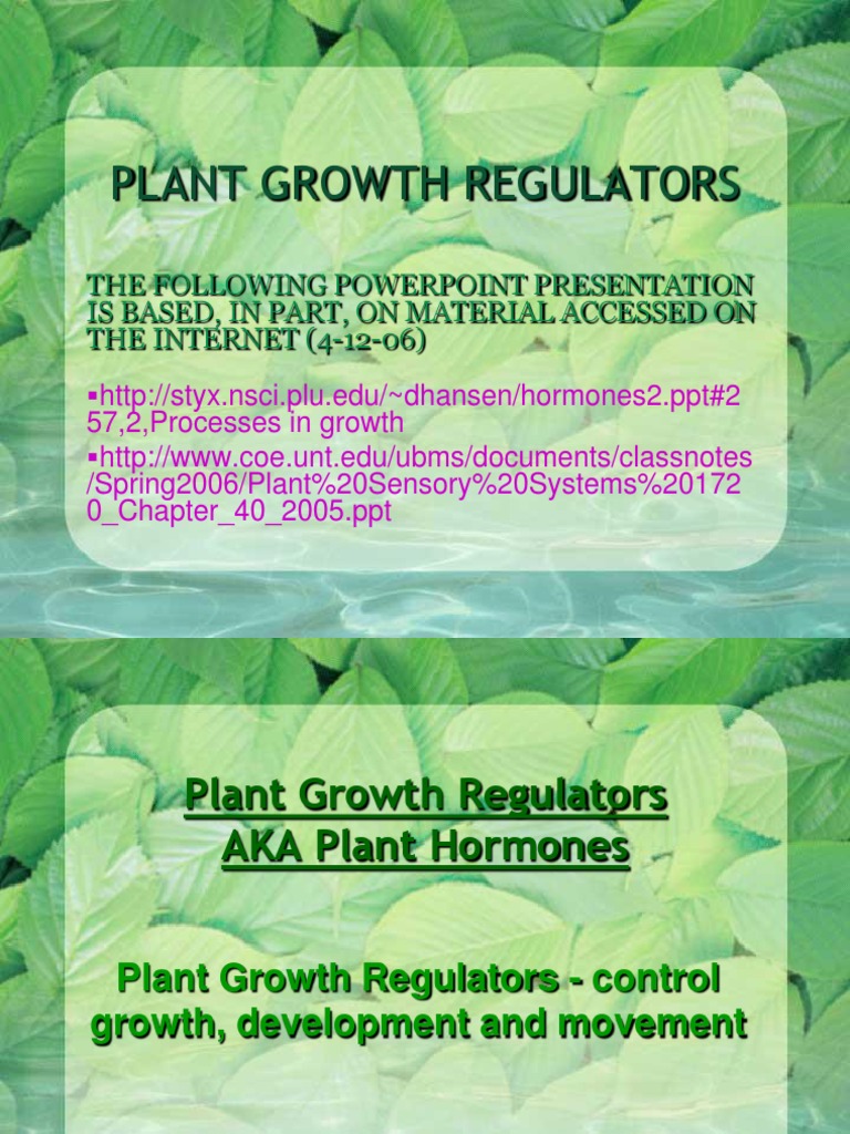 Plant Growth Regulators Plant Hormone Auxin