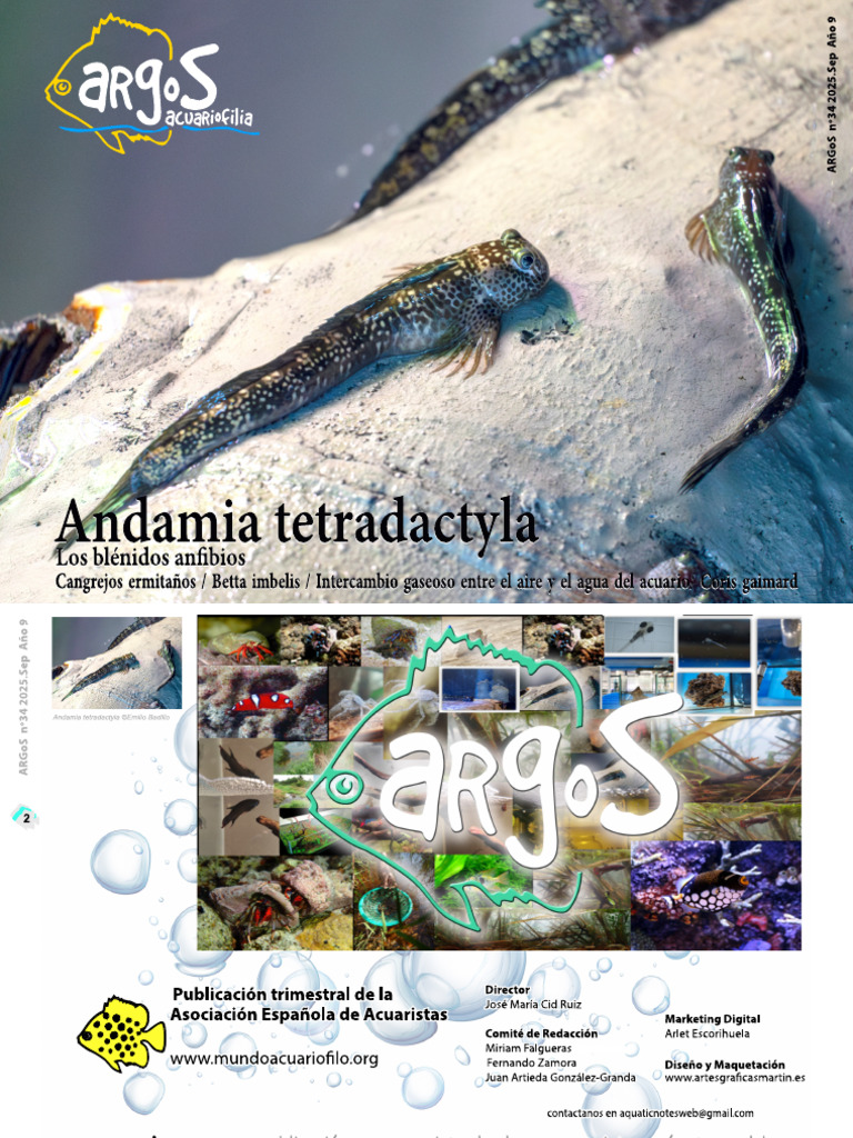 Argos 34 | PDF