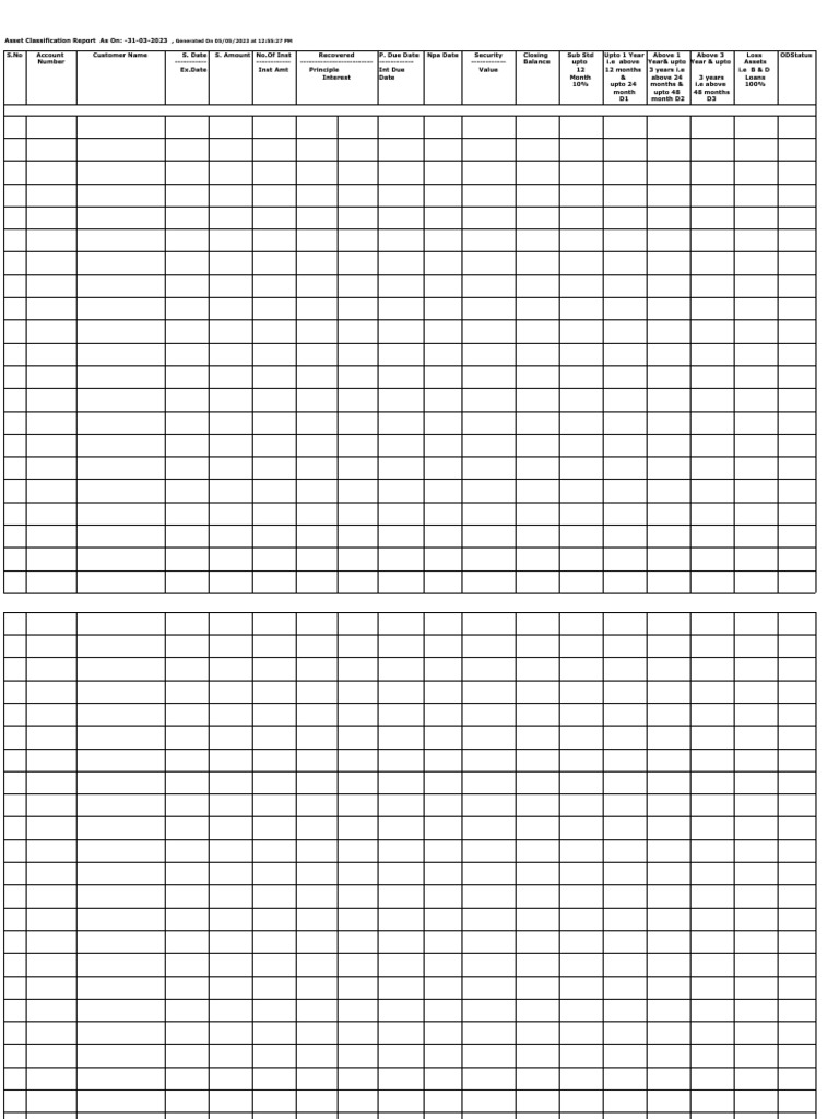 B SRP T Asset Classification Format IV | PDF