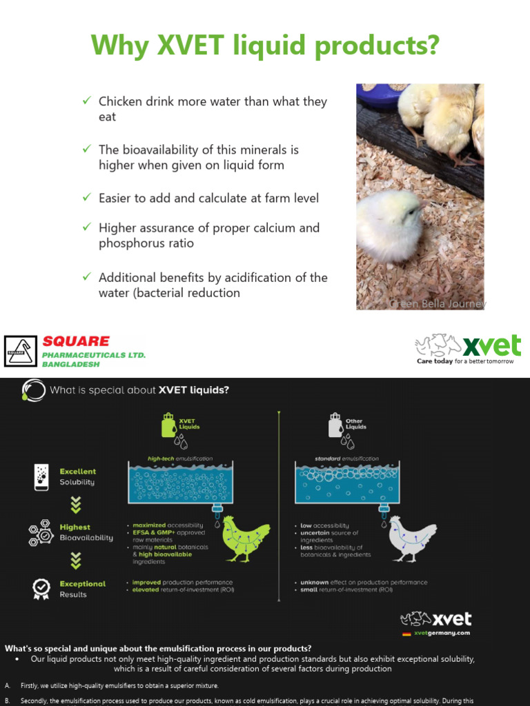 XVET Liquid Products for Poultry Care | PDF | Emulsion
