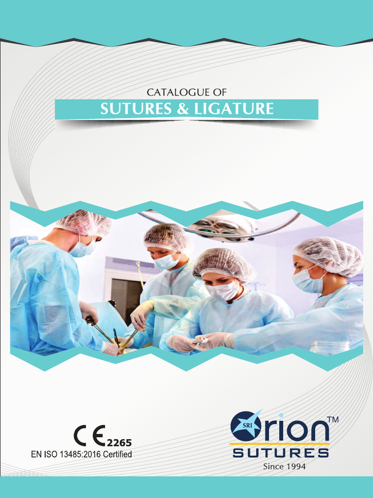 Orion | PDF