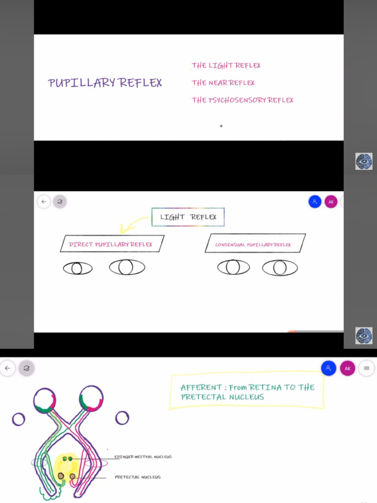 Reflexes, Visual Cycle, Blood Supply, Eye | PDF