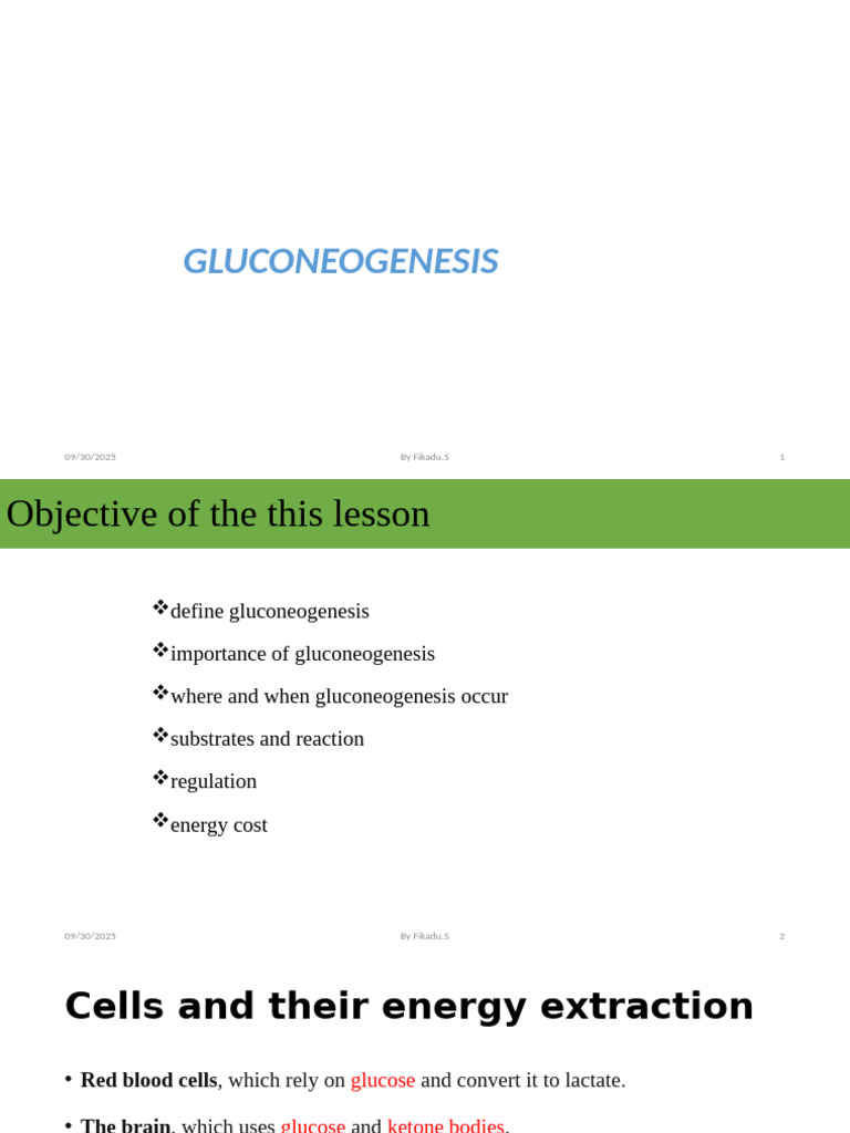 Understanding Gluconeogenesis and Its Role | PDF | Glycogen | Glycolysis