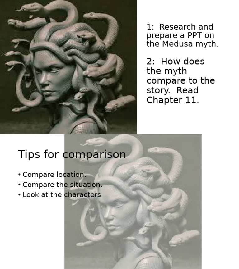 Medusa | PDF