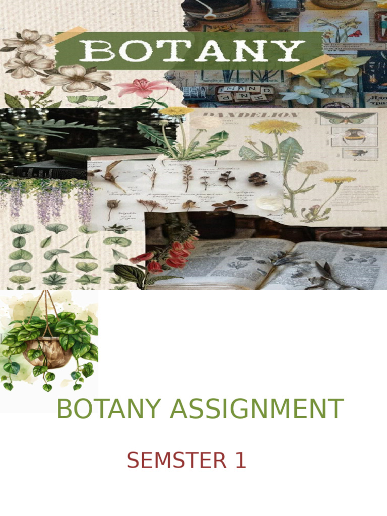 Botany Assignment Sem 1 Selfmade | PDF