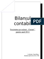 Bilant Contabil