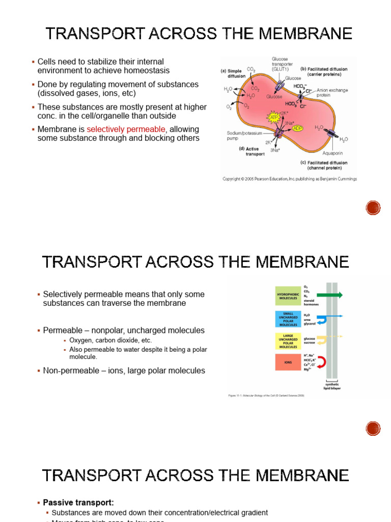 Cell Membrane Transport Mechanisms | PDF | Cell Membrane | Cell Biology