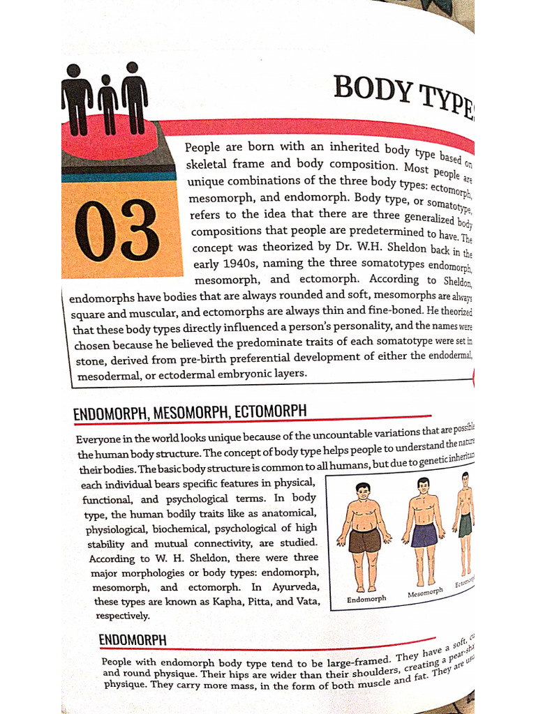 Physical Education Chapter Third Body Type | PDF