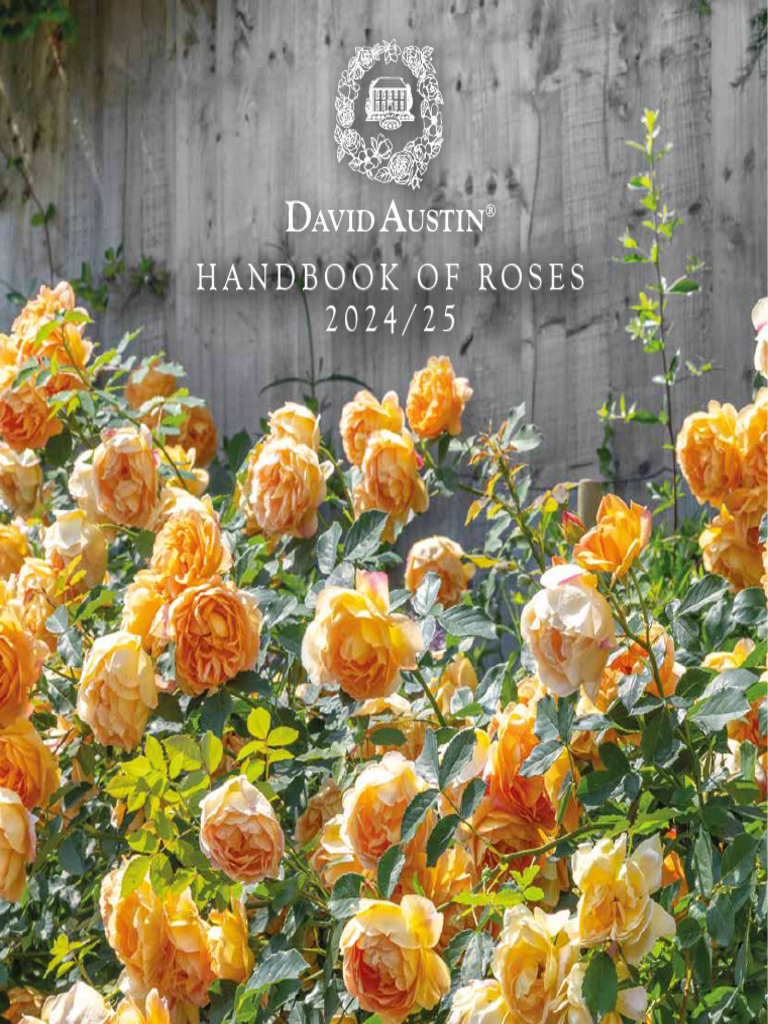 David Austin Roses Catalogue 2024/25 | PDF | Rose | Flowers