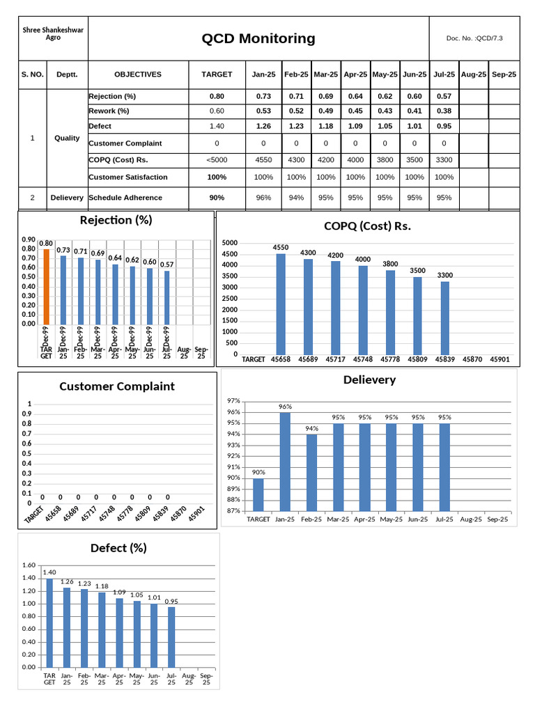 QCD Monitoring Report for 2025 | PDF