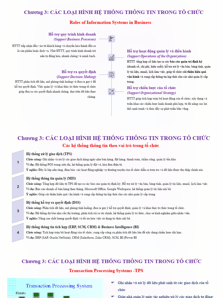 Chuong 3 Cac Loai Hinh He Thong Thong Tin | PDF